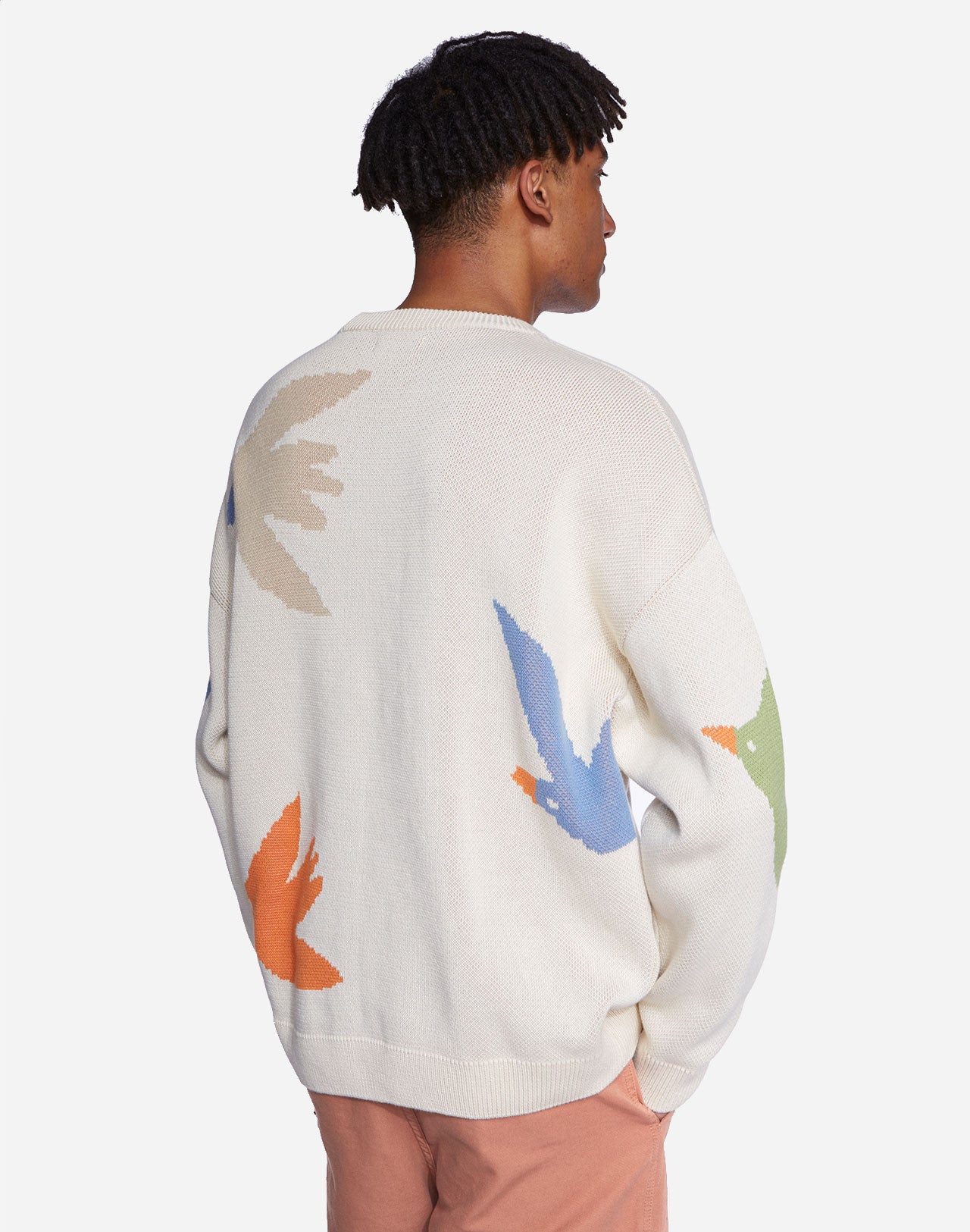Pull Bird Migration