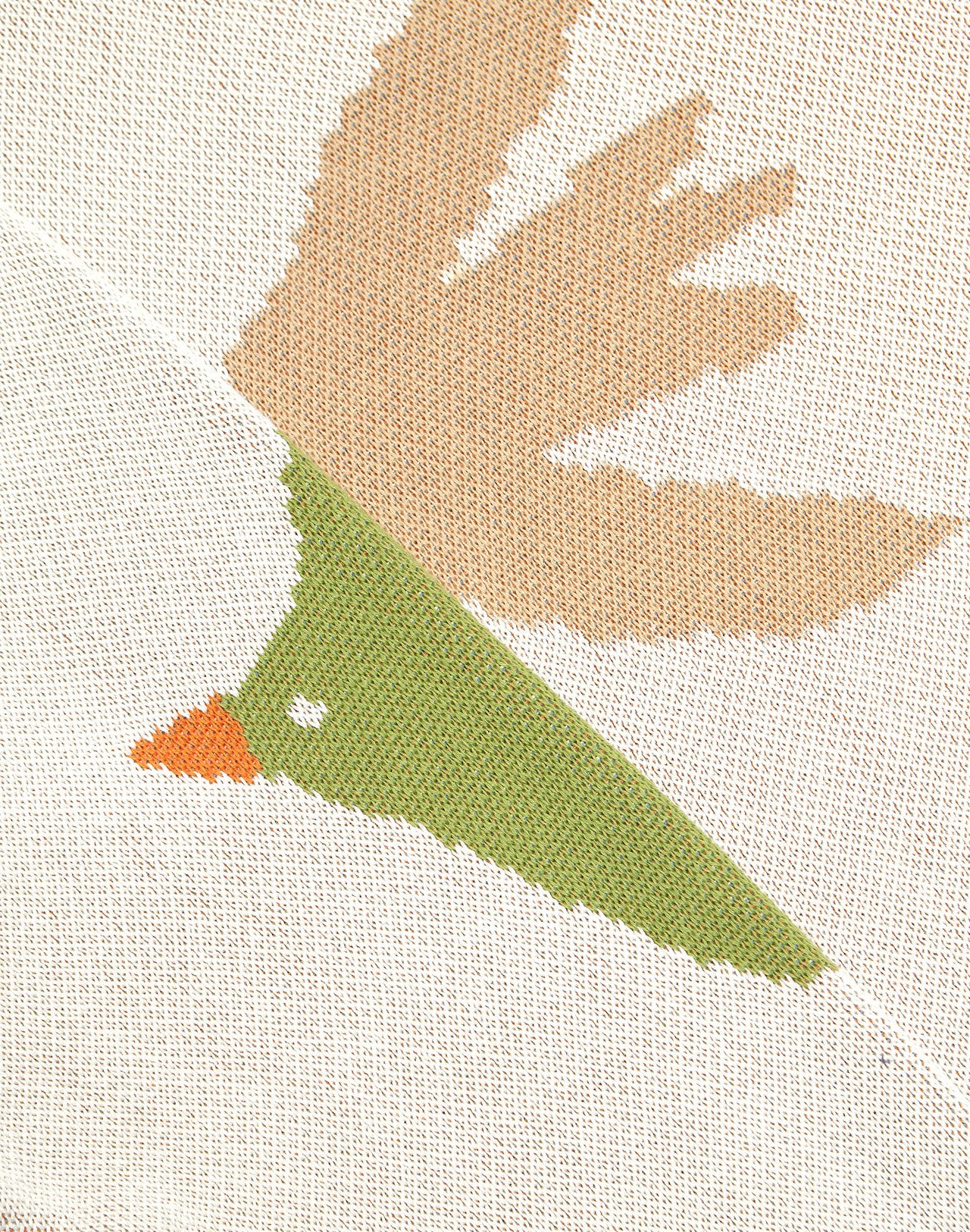 Pull Bird Migration