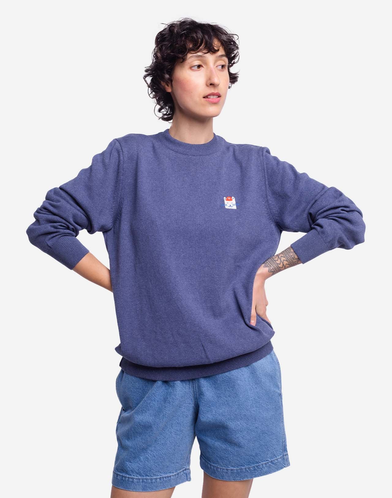 Pull Wisker bleu