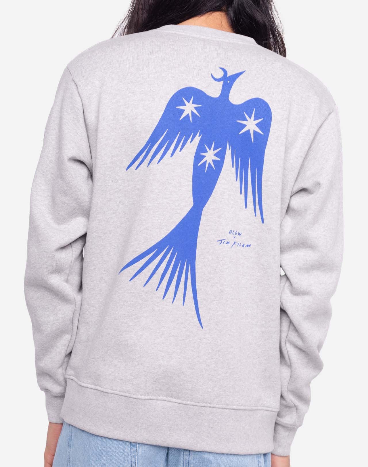 Sweat Night Bird gris chiné