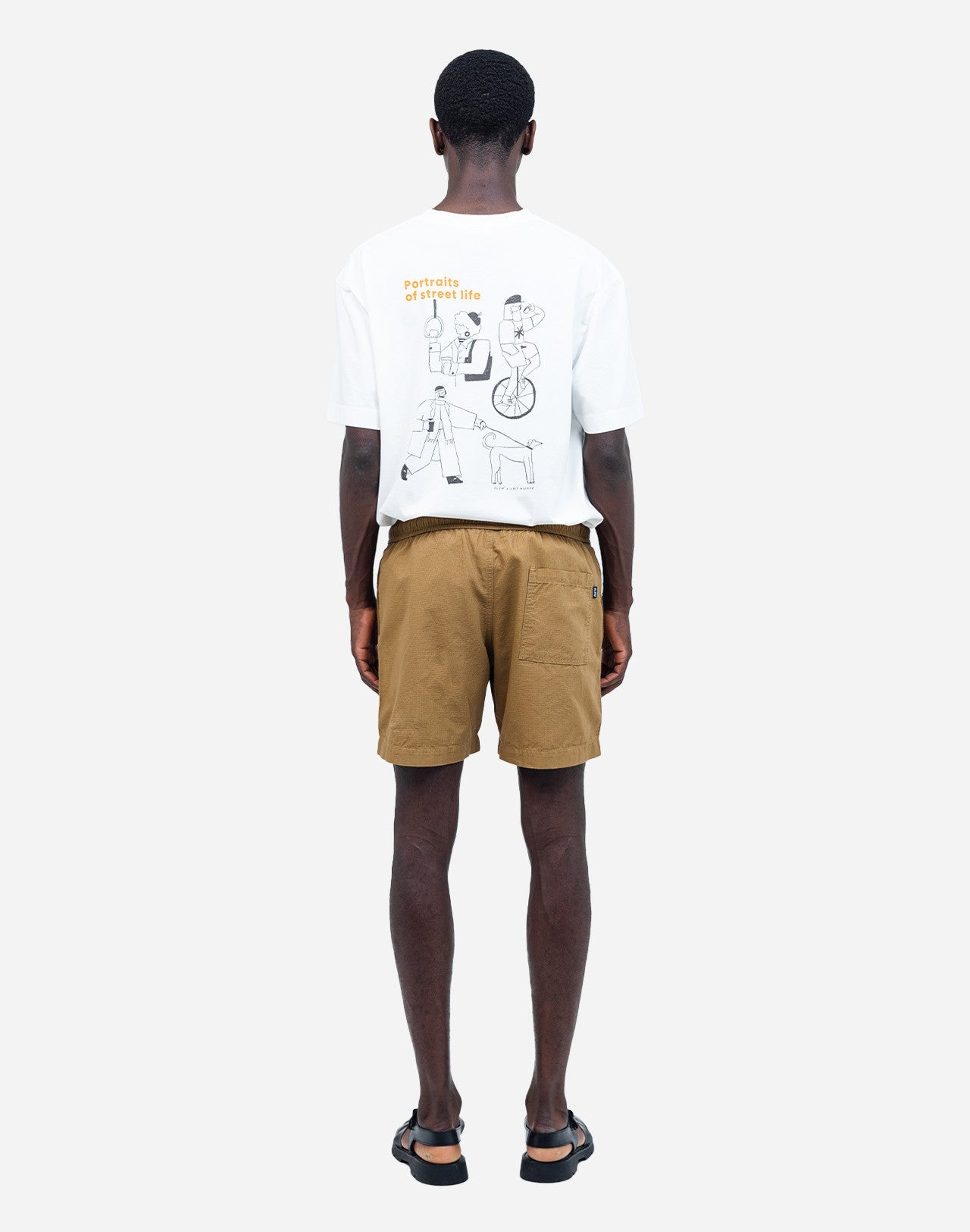 Short Bodhi terre